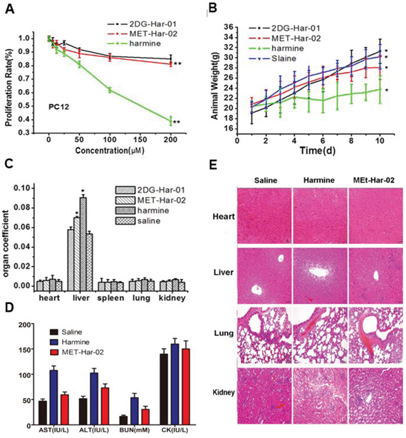 The neurotoxic and acute toxicities of 2DG-Har-01 and MET-Har-02 on healthy mice.
