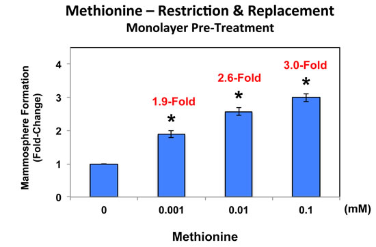 Pre-treatment of MCF7 cell monolayers with methionine restriction significantly reduces mammosphere formation.