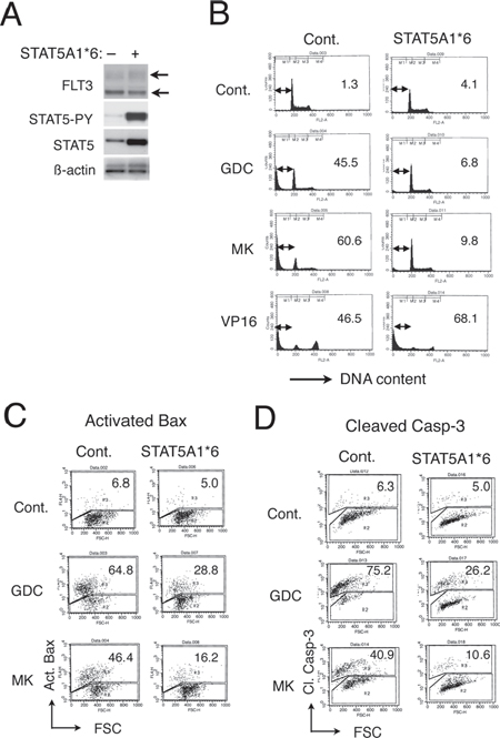 A constitutively activated STAT5 mutant, STAT5A1*6, confers resistance to GDC-0941 and MK-2206 on 32D/TKD cells.