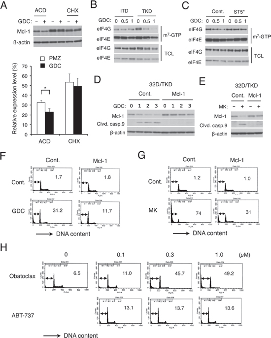 FLT3-ITD may sustain cap-dependent translation of Mcl-1 through STAT5 activation to prevent apoptosis in cells treated with the PI3K/Akt pathway inhibitors.