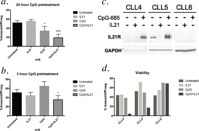 Pretreatment with CpG-685 enhances IL-21-mediated cytotoxicity.