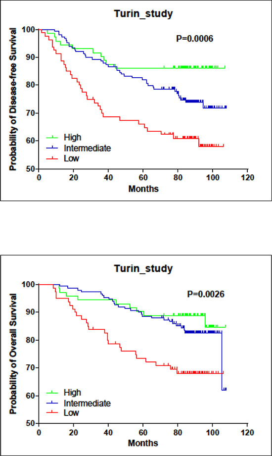 Associations of LINC00472 expression with patient survival in turin study.