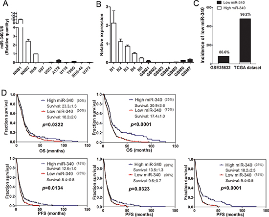 Expression of miR-340 is downregulated in glioma and related with survival of glioma patients.