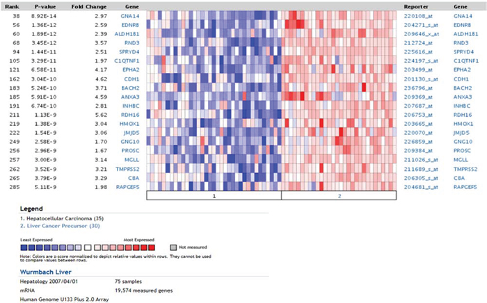 Oncomine analysis using the Dkk2&#x2212;/&#x2212; genetic signature.