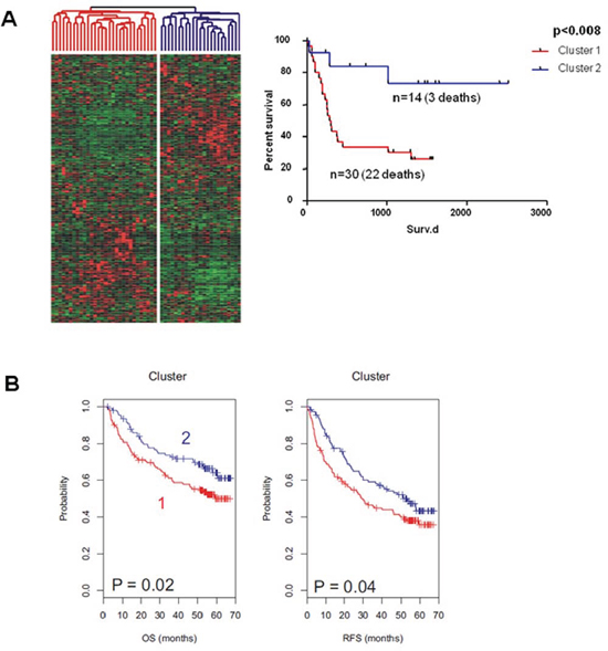 Unsupervised Clustering of an initial cohort of A. 53 patients with HCC and B. a validation cohort of 199 patients with HCC.