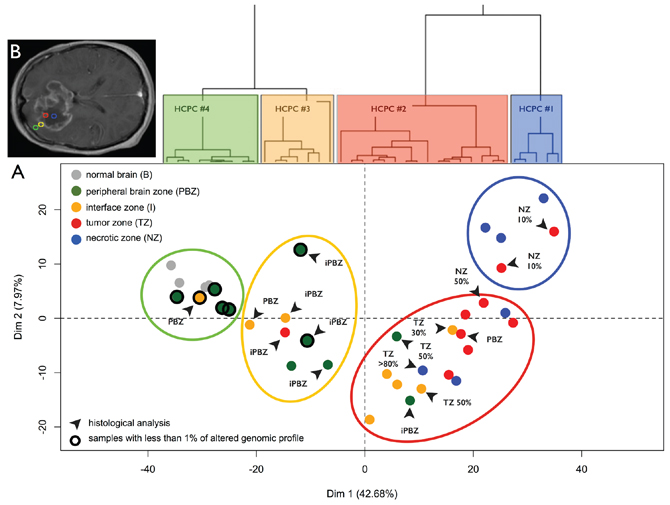 Transcriptome profiling.