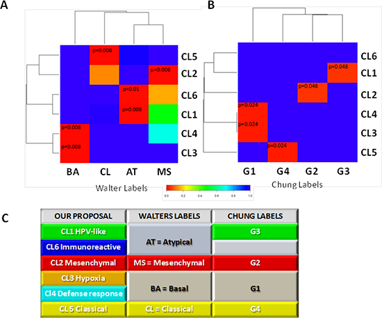 Comparison of genome-wide molecular pattern between our and previously reported subtype classification.