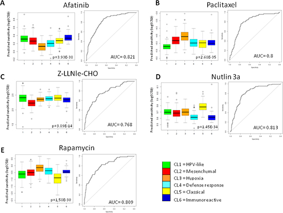 Prediction drug sensitivity in HNSCC subtypes.