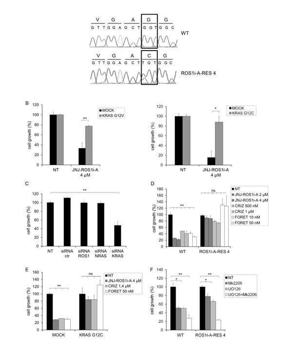 FIG.2: HCC78 cells resistant to the ROS1 inhibitor JNJ-ROS1i-A are KRAS addicted and cross-resistant to other ROS1 inhibitors.