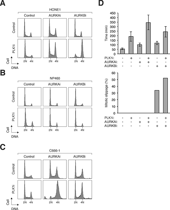 Co-inhibition of PLK1 and Aurora kinases specifically sensitizes NPC cells.