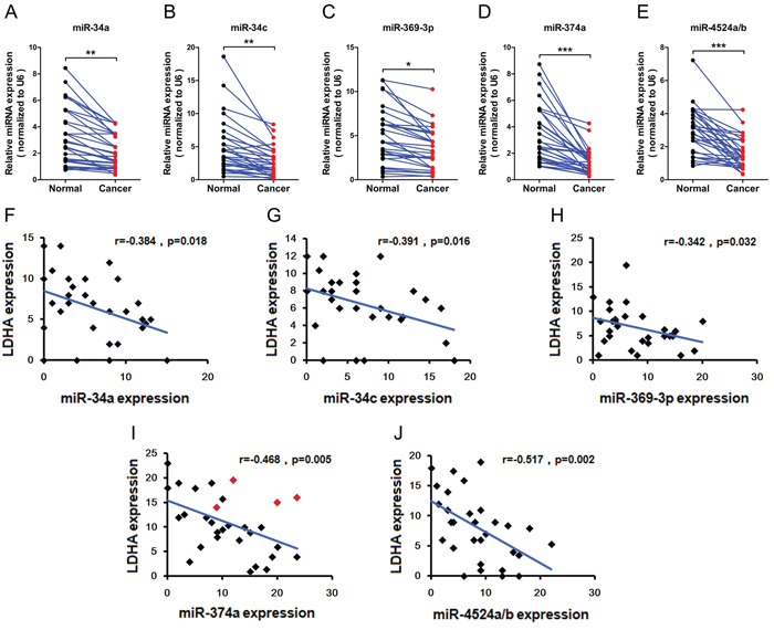 Expression levels of miR-34a, miR-34c, miR-369-3p, miR-374a, and miR-4524a/b with LDHA in human CRC tissues.