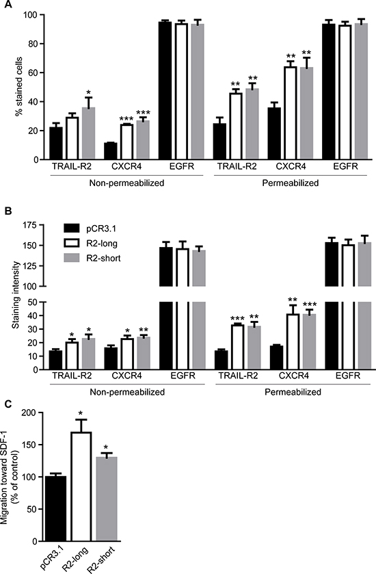 Overexpression of TRAIL-R2 in MDA-MB-231 cells upregulates the expression of CXCR4 and enhances migration towards SDF-1.