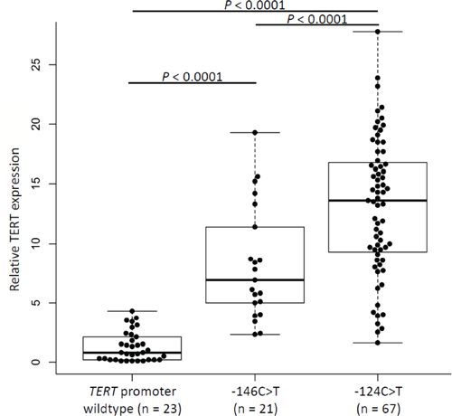 Relative TERT expression in glioma samples according to mutation status of the TERT promoter.