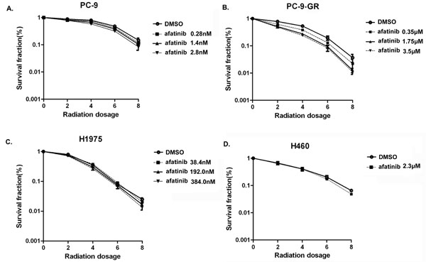 Effect of afatinib on cell clonogenic survival in irradiated lung cancer cells.
