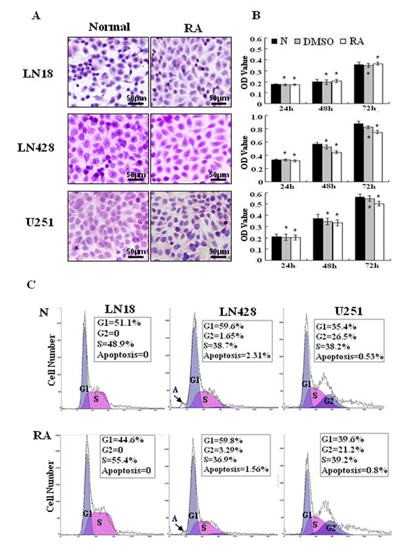 Cellular responses of human glioblastoma LN18, LN428 and U251 cells to all-trans retinoic acid treatment.