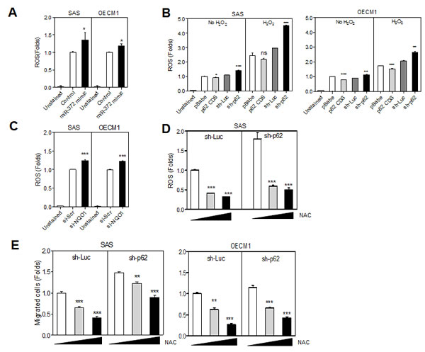 Fig.4: