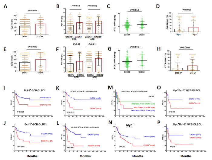 Association of CXCR4 expression with Myc/Bcl-2 expression and the synergism of prognostic significance in DLBCL.