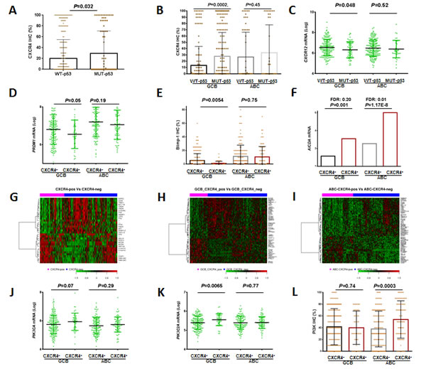 Regulation of and signaling pathways related to CXCR4 expression.