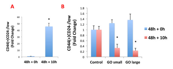 Graphene oxide (GO) promotes the differentiation of breast cancer stem cells.