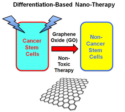 Graphene oxide (GO): Targeting cancer stem cells with differentiation-based nano-therapy.