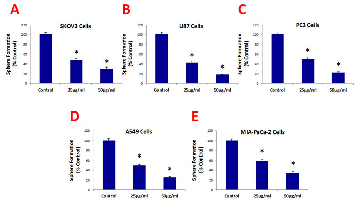 Graphene oxide (GO) selectively targets cancer stem cells (CSCs) of multiple cancer cell types.