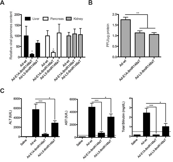 Ad-L5-8miR148aT replication is attenuated in mice liver and displays reduced hepatotoxicity following systemic delivery.