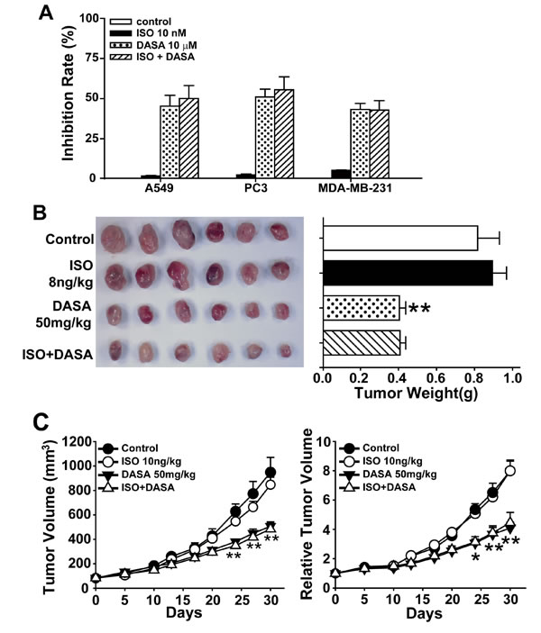 Isoproterenol hydrochloride does not affect the anticancer activity of dasatinib.