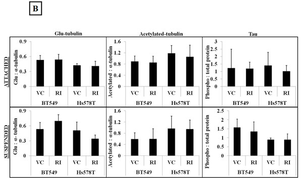 fig4b