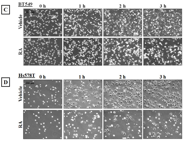 fig6b