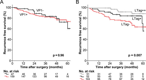 Kaplan-Meier estimates of RFS by BKPyV serostatus in patients who underwent RP for primary prostate cancer.