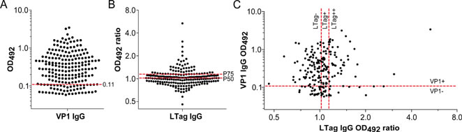 Antibody activity against BKPyV VP1 and LTag in patients who underwent RP for primary prostate cancer (n = 206).