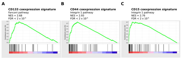 Enrichment of proliferative pathways for CD133-M and enrichment of invasive pathways for CD44-M and CD15-M.