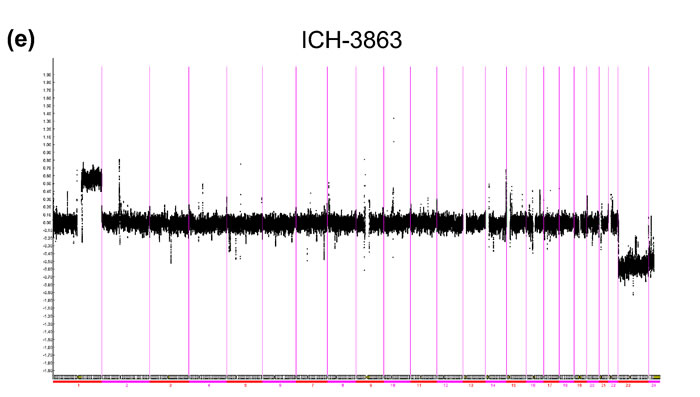 fig2e