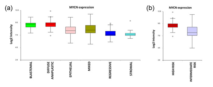 Figure 4: