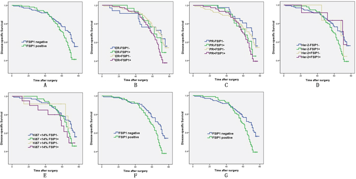 FSIP1 expression is associated with poor survival of breast cancer patients.