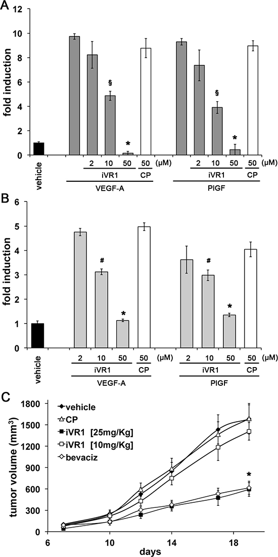 Dose-dependent inhibition of macrophage migration and xenograft tumor growth exerted by iVR1.