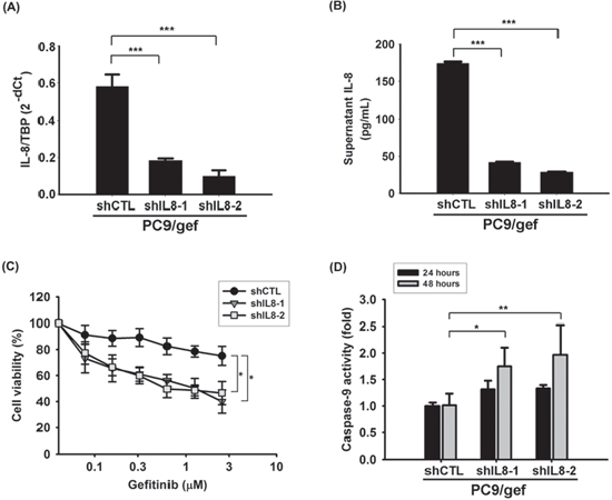 Knockdown IL-8 increased gefitinib-induced apoptosis.