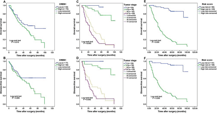 Correlation of CREB1 expression with survival of patients with gastric cancer.
