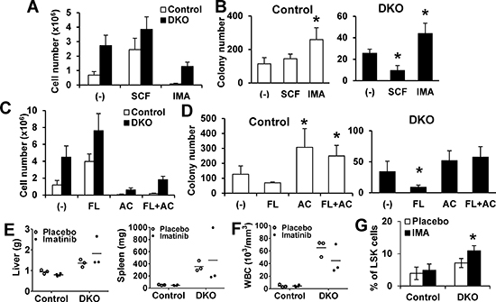 Impact of modulating c-Kit or FLT3 signaling on DKO HSC exhaustion.