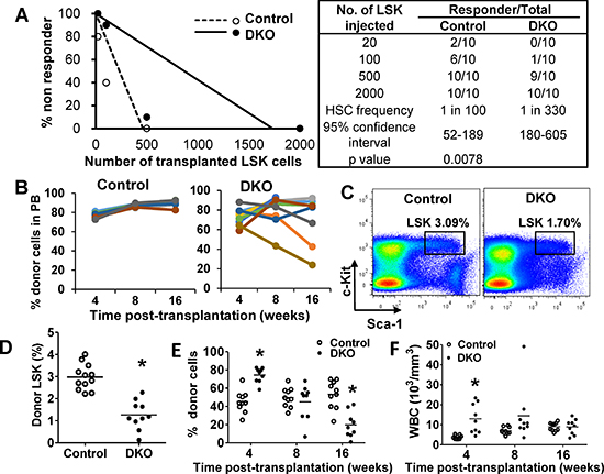 Cbl/Cbl-b DKO HSCs show impaired in vivo reconstitution ability.