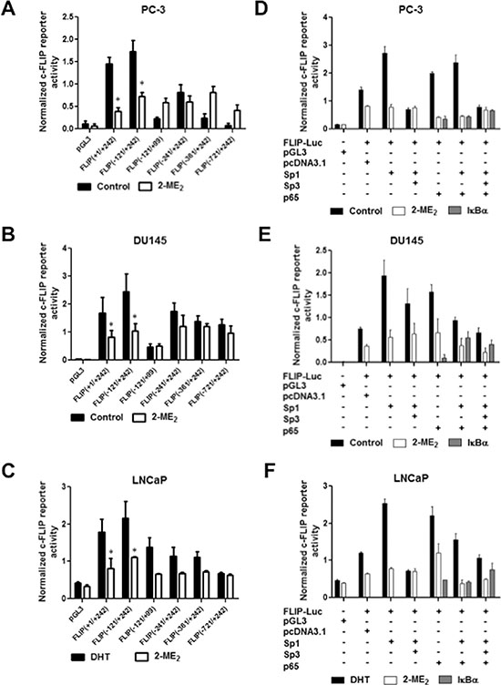 Identification of core c-FLIP promoter elements sufficient for constitutive and 2-ME2 response, and regulation of c-FLIP with multiple transcription factors including Sp1, Sp3 and NF&#x03BA;B.