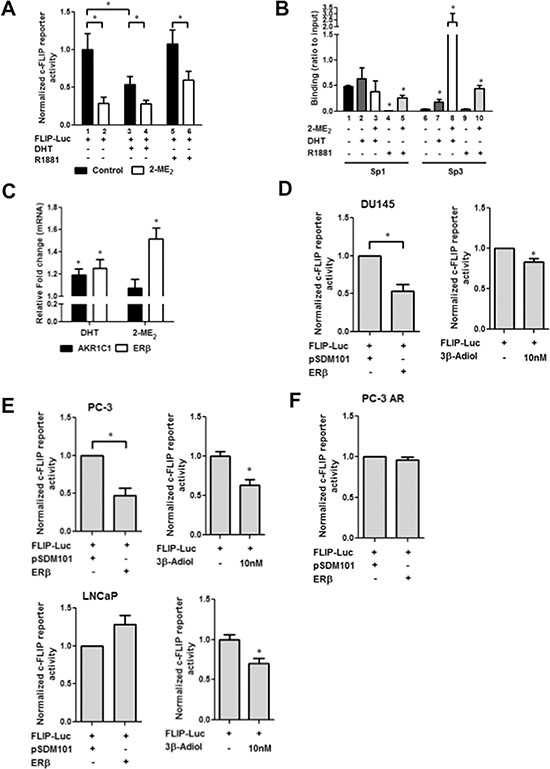 Androgen metabolism regulates c-FLIP transcriptional activity.