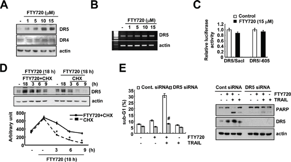 DR5 up-regulation by FTY720 contributes to the sensitization of Caki cells to TRAIL-mediated apoptosis.