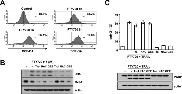 FTY720 and TRAIL-mediated apoptosis is independent of ROS signaling in Caki cells.