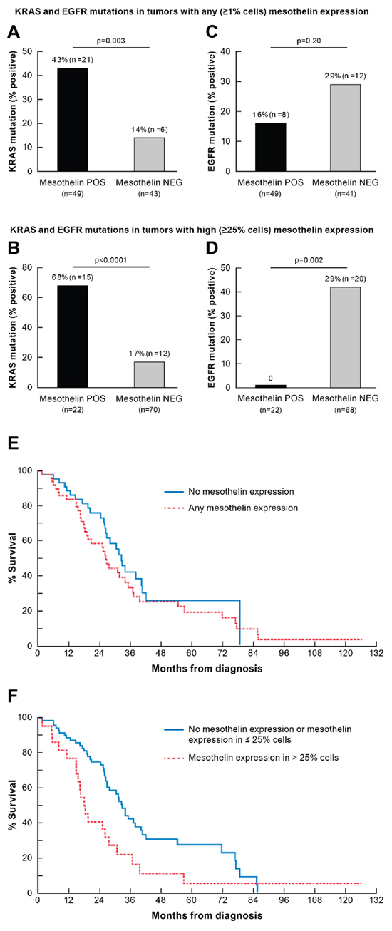 Association between mesothelin expression and KRAS and EGFR mutations and overall survival