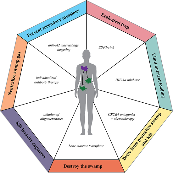 Using restoration ecology strategies as anti-cancer therapies.