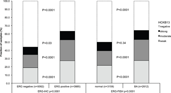 Association between HOXB13 immunostaining results and the ERG-status determined by IHC and FISH analysis.