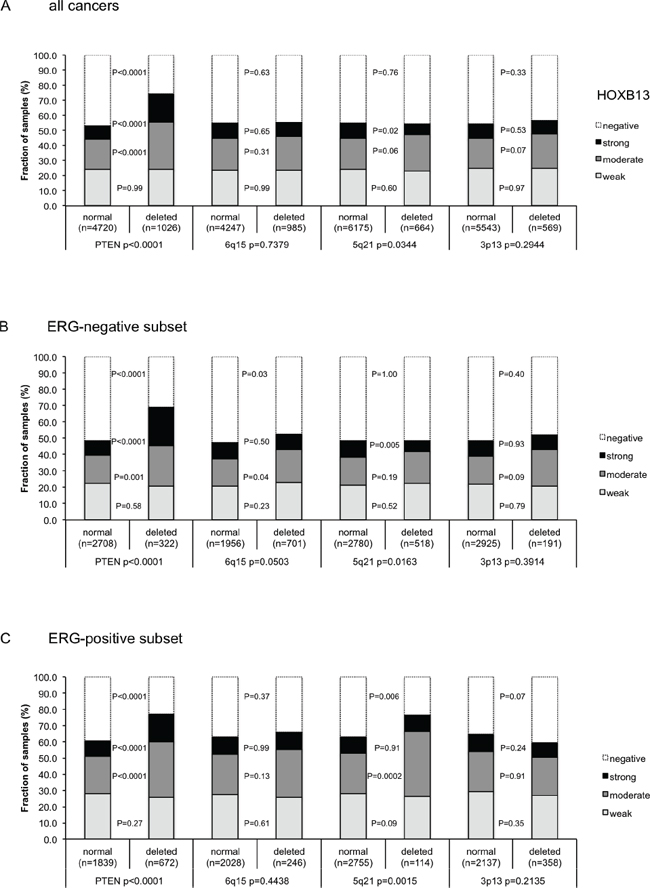 Association between positive HOXB13 immunostaining results and deletions of PTEN, 5q21 (CHD1), 6q15 (MAP3K7), and 3p13 (FOXP1).