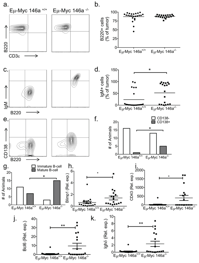 miR-146a deficiency causes a mature B-cell phenotype in E&#x03BC;-Myc mice.