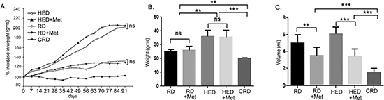 Metformin (Met) decreases the tumor burden and ascites volume.